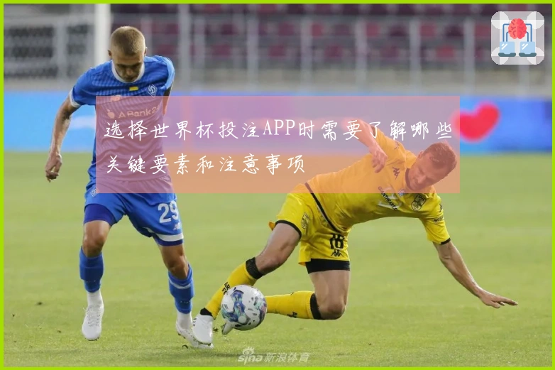 选择世界杯投注APP时需要了解哪些关键要素和注意事项