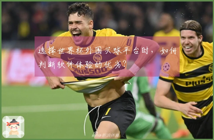 选择世界杯外围买球平台时,如何判断软件体验的优劣?